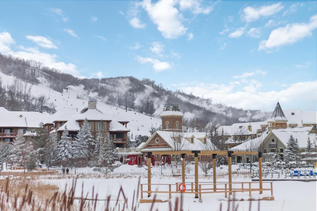 Modern Mountainside Ski In Ski Out 87111 Blue Mountains Exterior foto